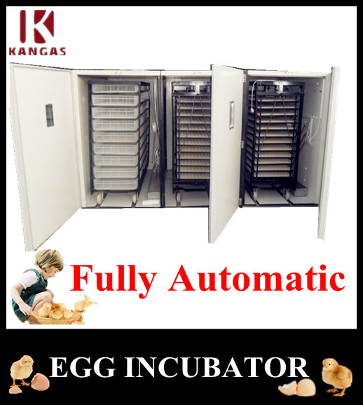 Holding 16896 eggs automatic egg incubator