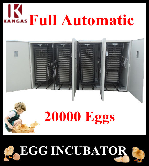 Holding 22528 eggs automatic egg incubator