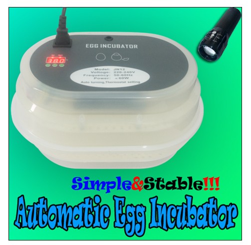 automatic contorl mini incubator for family or wholesale