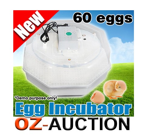 60 Poultry Egg Electronic Incubator Temperature Alarm Clear Top