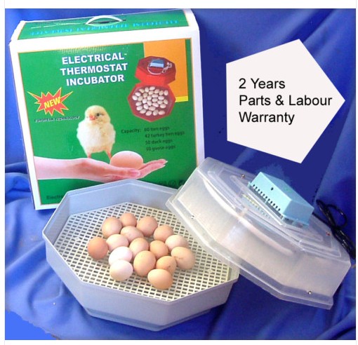 NEW VERSION 60 EGG INCUBATOR WITH AUTO TEMP CONTROL POULTRY CHICKEN HATCH