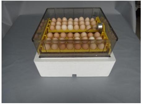 Holding 96 eggs incubators for chicken eggs/quail incubator/mini egg incubator for sale