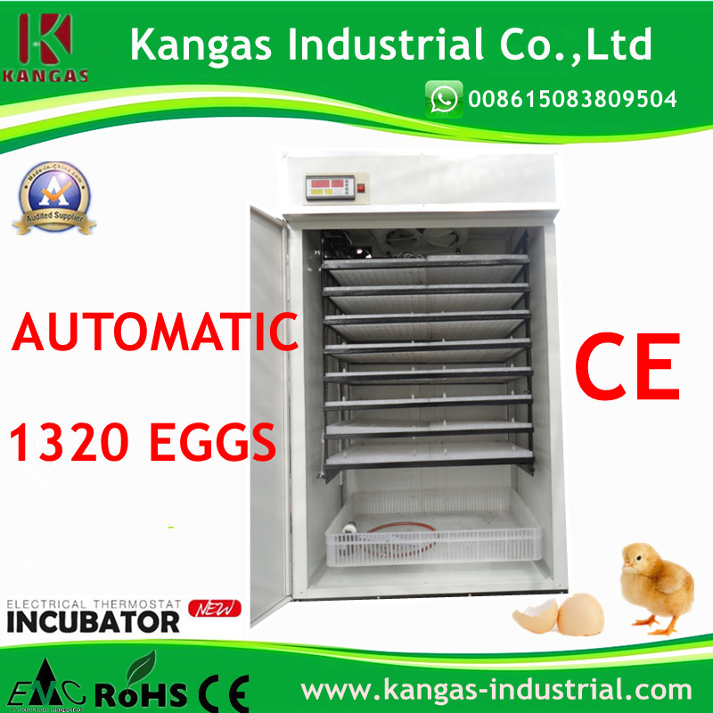 Automatic Egg Incubator