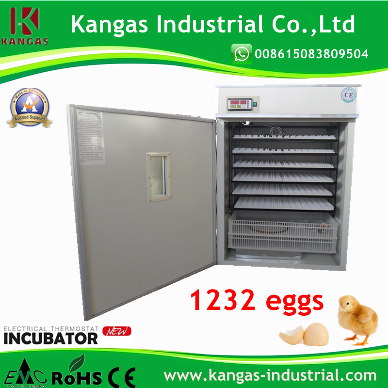 Automatic Egg Incubator