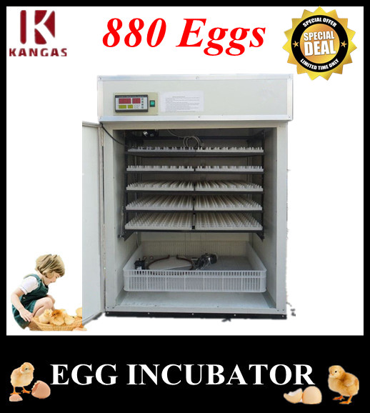 Automatic Egg Incubator