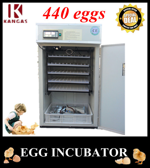 Automatic Egg Incubator