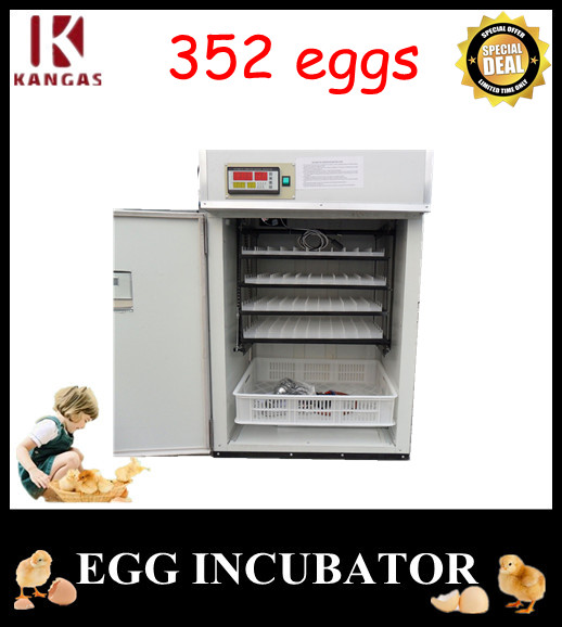 Automatic Egg Incubator