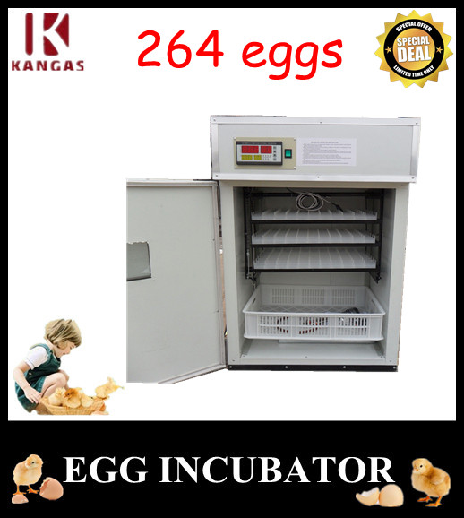 Automatic Egg Incubator