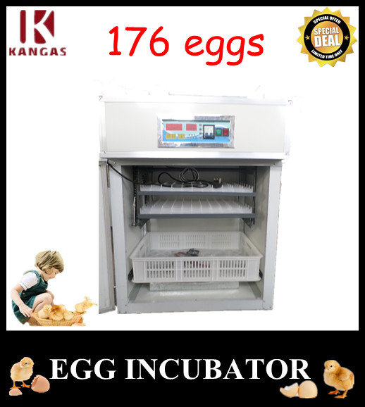 Automatic Egg Incubator