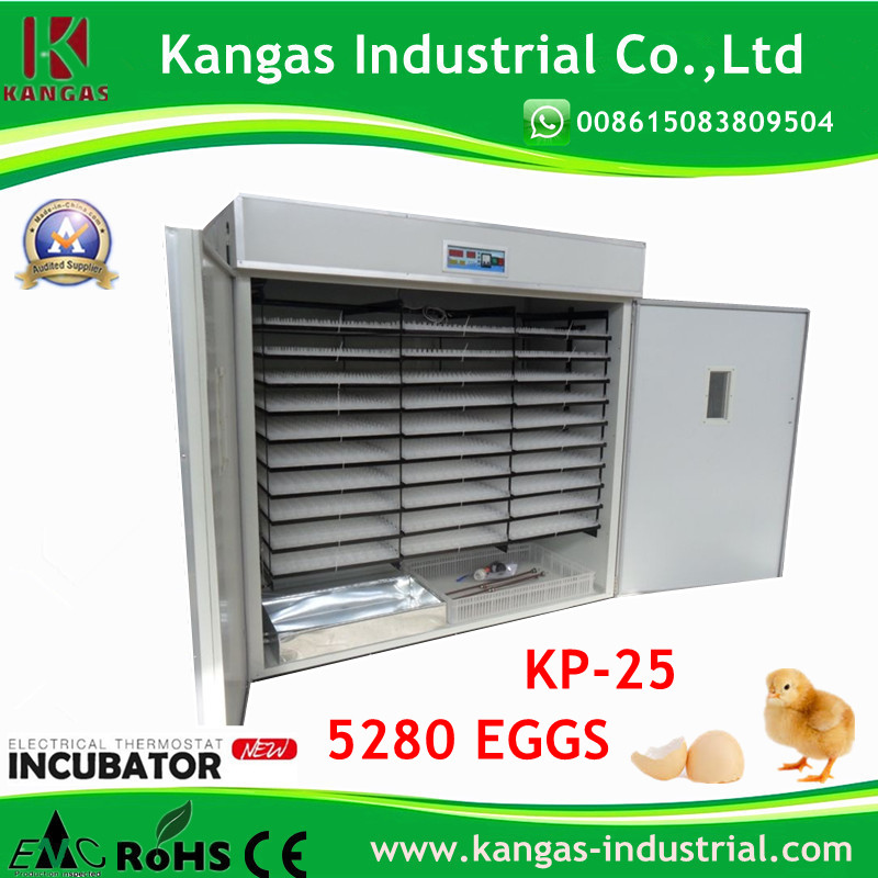 Automatic Egg Incubator