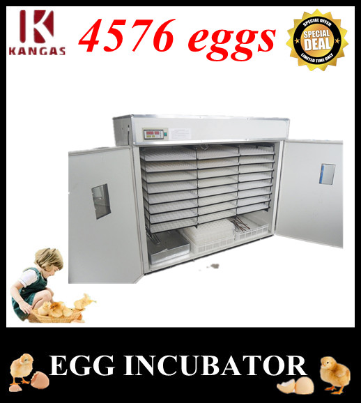 Automatic Egg Incubator