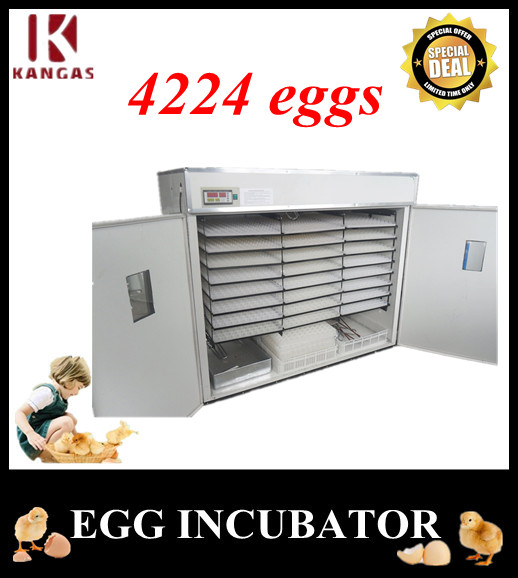 Automatic Egg Incubator