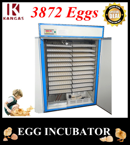 Automatic Egg Incubator