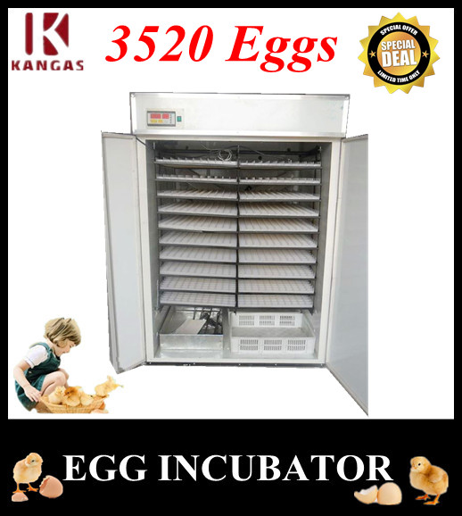 Automatic Egg Incubator