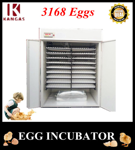 Automatic Egg Incubator