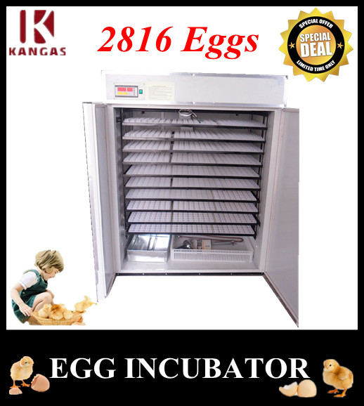 Automatic Egg Incubator