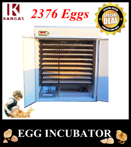 Automatic Egg Incubator