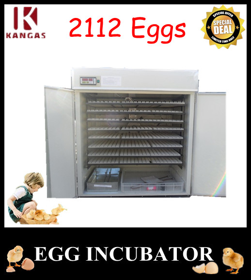 Egg Incubator