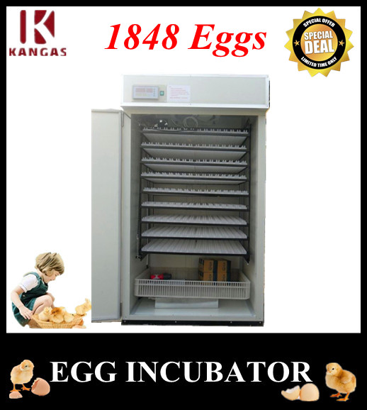 Egg Incubator