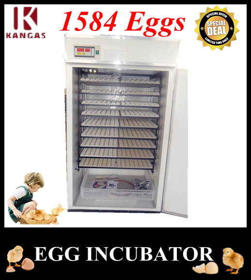 Automatic Egg Incubator