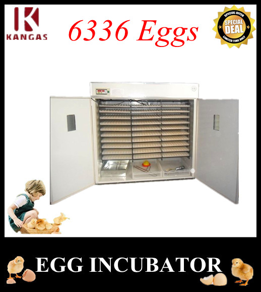 Automatic Egg Incubator