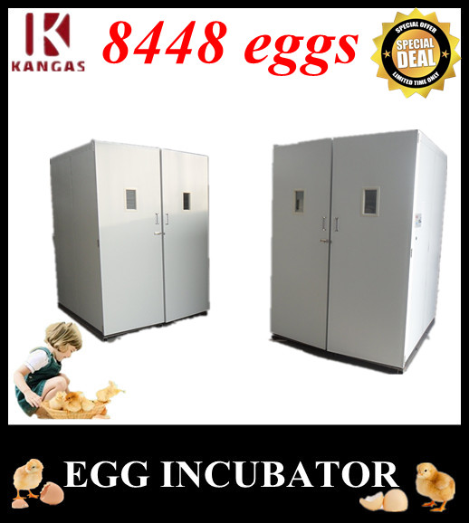 Automatic Egg Incubator