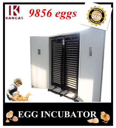 Automatic Egg Incubator