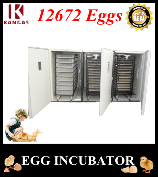 Automatic Egg Incubator