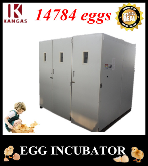 Automatic Egg Incubator