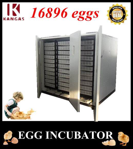 Automatic Egg Incubator