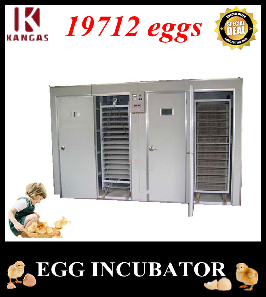 Automatic Egg Incubator