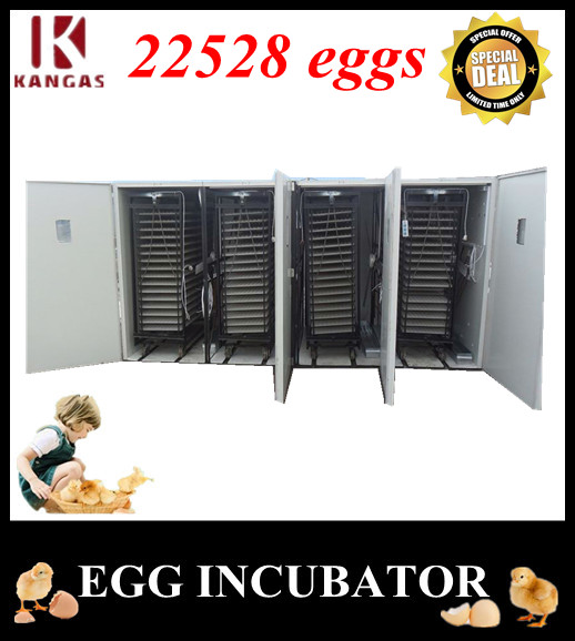 Automatic Egg Incubator