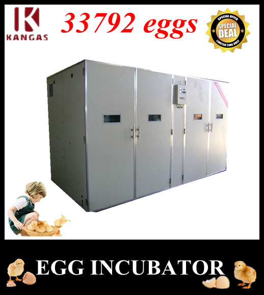 Automatic Egg Incubator