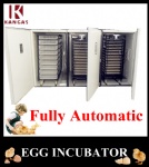 Holding 16896 eggs automatic egg incubator