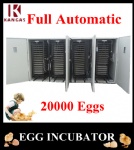 Holding 19712 eggs automatic egg incubator