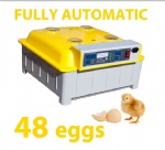 Premium Digital 48 Eggs Incubator Fully Automatic Kit