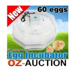 60 Poultry Egg Electronic Incubator Temperature Alarm Clear Top