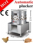 Automatic Chicken Plucker On Sale