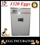 Automatic Egg Incubator