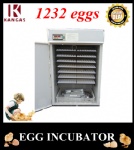 Automatic Egg Incubator