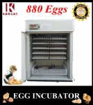 Automatic Egg Incubator