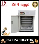 Automatic Egg Incubator