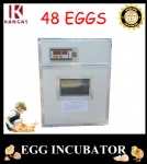 Automatic Egg Incubator