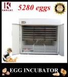 Automatic Egg Incubator