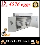 Automatic Egg Incubator