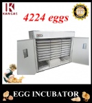 Automatic Egg Incubator