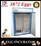 Automatic Egg Incubator