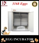 Automatic Egg Incubator