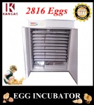 Automatic Egg Incubator