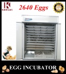 Chicken Egg Incubator